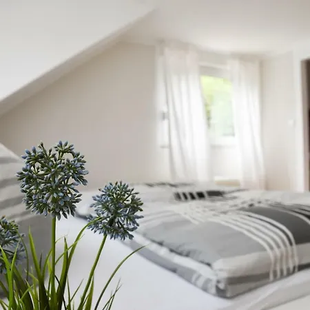 Mads ゲストハウス 3*