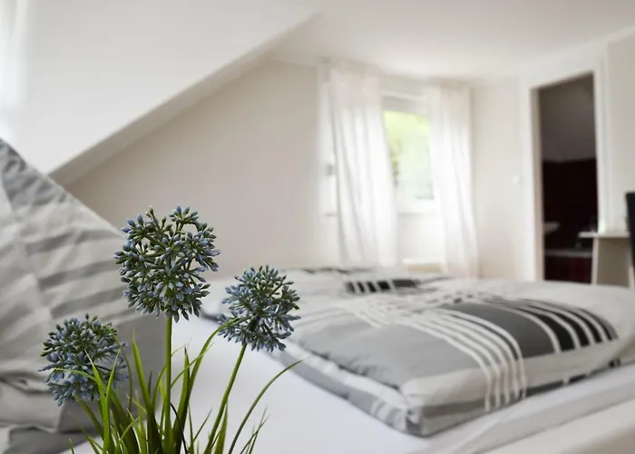 Mads 게스트하우스 3*